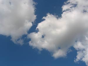 IMG_5387.jpg