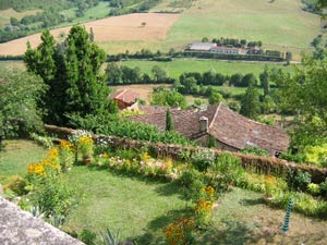 IMG_5390.jpg